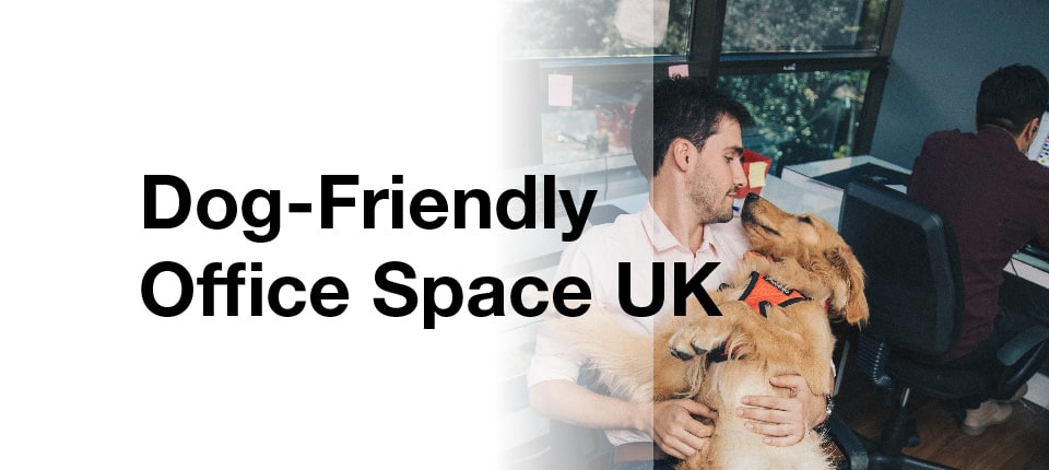 Dog-Friendly Office Space | Take Your Dog to the Office - Instant Offices